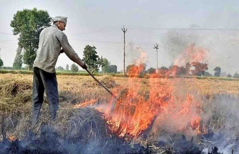 बांदा : खेत में पराली जलाने पर 15 हजार पड़ेगा जुर्माना