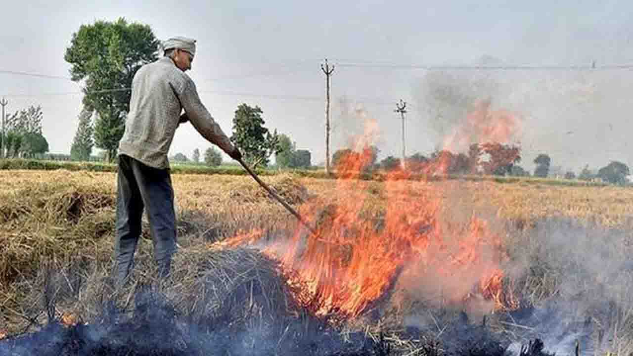 बांदा : खेत में पराली जलाने पर 15 हजार पड़ेगा जुर्माना