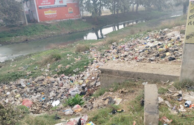 जहानाबाद में नमामि ग॑गे योजना के तहत नदियों की साफ-सफाई का पोल खोलता मोरहर नदी।