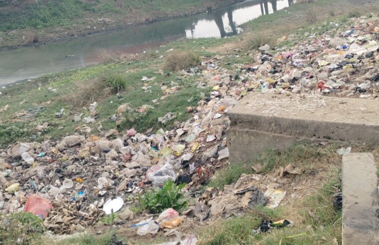 जहानाबाद में नमामि ग॑गे योजना के तहत नदियों की साफ-सफाई का पोल खोलता मोरहर नदी।