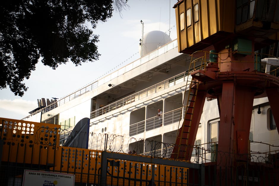 Ship Passenger Making Best of Quarantine After Hantavirus Outbreak - LatestLY